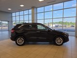 Used 2020 Ford Escape SE image 6
