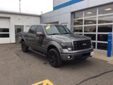 Used 2014 Ford F150 FX4 image 2
