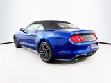 Used 2022 Ford Mustang Premium image 5