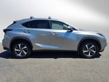 Used 2019 Lexus NX 300 AWD w/ Luxury Package image 2
