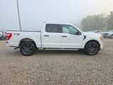 Used 2021 Ford F150 XL w/ STX Appearance Package image 5