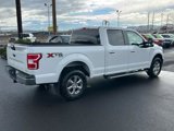 Certified 2019 Ford F150 XLT image 5