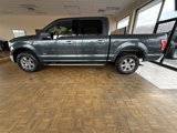 Used 2015 Ford F150 XLT w/ Equipment Group 302A Luxury image 3