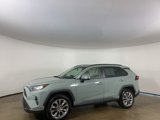 Used 2019 Toyota RAV4 XLE Premium image 2