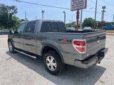 Used 2010 Ford F150 4x4 SuperCrew image 5