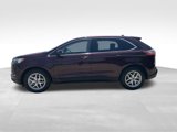 Certified 2024 Ford Edge SEL image 2