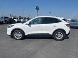 Used 2020 Ford Escape SE image 2