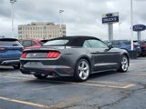 Used 2019 Ford Mustang Premium w/ Equipment Group 201A image 3