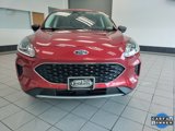 Used 2022 Ford Escape SE w/ Convenience Package image 3
