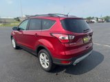 Used 2017 Ford Escape SE w/ SE Leather Comfort Package image 3