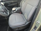 Used 2022 Hyundai Santa Cruz SEL w/ Activity Package image 5