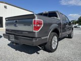 Used 2013 Ford F150 Platinum image 5
