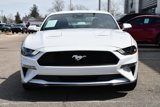 Used 2022 Ford Mustang Premium w/ Equipment Group 201A image 3