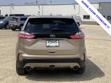 Used 2020 Ford Edge Titanium w/ Class II Trailer Tow Package image 6