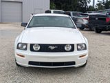 Used 2009 Ford Mustang GT Premium image 3