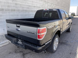Used 2014 Ford F150 Platinum image 3