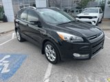 Used 2014 Ford Escape Titanium w/ Equipment Group 401A image 2