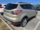 Used 2017 Ford Escape SE w/ Equipment Group 201A image 4