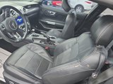 Used 2019 Ford Mustang Premium w/ Ecoboost Performance Package image 3
