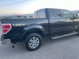 Used 2014 Ford F150 Lariat w/ Equipment Group 502A Luxury image 4