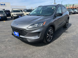 Used 2022 Ford Escape SE w/ SE Sport Appearance Package image 4