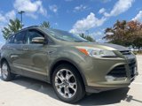 Used 2013 Ford Escape SEL image 3
