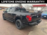 New 2025 Ford F150 STX image 6