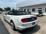 Used 2020 Ford Mustang Premium w/ Equipment Group 201A image 5