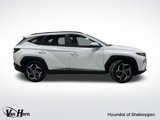 Used 2023 Hyundai Tucson SEL w/ Convenience Package image 2