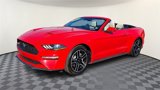 Used 2022 Ford Mustang Premium image 4