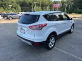 Used 2014 Ford Escape SE image 5
