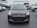 Used 2014 Ford Escape Titanium w/ Equipment Group 401A image 4