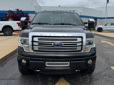 Used 2013 Ford F150 Platinum image 2