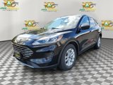 Used 2022 Ford Escape SE image 3