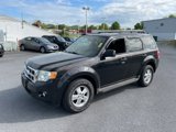 Used 2011 Ford Escape XLT w/ 201A Rapid Spec Order Code image 4