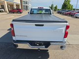 Used 2020 Chevrolet Silverado 1500 W/T w/ WT Fleet Convenience Package image 4