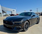 New 2025 Ford Mustang Premium w/ Mustang Nite Pony Package image 2