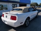 Used 2007 Ford Mustang Deluxe Convertible image 5
