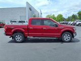 Used 2019 Ford F150 XLT w/ Equipment Group 302A Luxury image 2