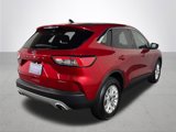 Used 2021 Ford Escape SE w/ Convenience Package image 6