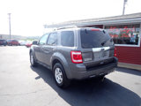 Used 2010 Ford Escape Limited image 3