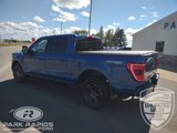 Used 2022 Ford F150 XLT w/ Equipment Group 302A High image 3
