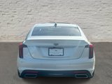 Used 2020 Cadillac CT5 Premium Luxury w/ Parking Package image 4
