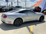 Certified 2023 Ford Mustang Coupe w/ Equipment Group 101A image 5