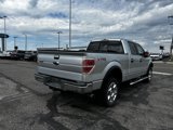Used 2013 Ford F150 XLT image 5