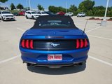 Used 2018 Ford Mustang Premium w/ Equipment Group 201A image 5
