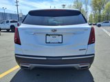 Used 2020 Cadillac XT5 Premium Luxury image 4