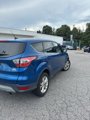 Used 2017 Ford Escape SE image 6