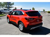 New 2024 Ford Escape Active w/ Tech Pack #1 image 3