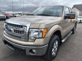 Used 2013 Ford F150 XLT w/ Luxury Equipment Group image 3